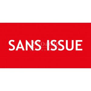 Panneau sans issue – 150x50 mm