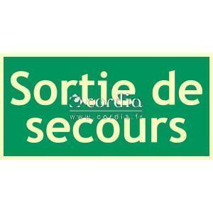 Panneau photoluminescent sortie secours - L.300 x H.150 mm