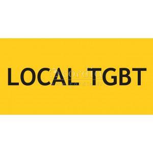 Panneau local TGBT – L.200 x H.100 mm
