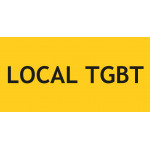 Panneau local TGBT – L.200 x H.100 mm
