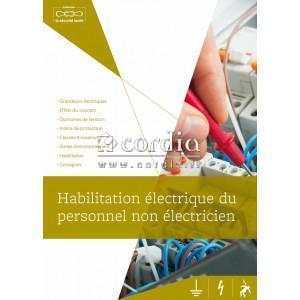 Illustrés habilitation électrique – Lot de 100