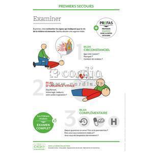 Support formation - Premiers secours : examiner
