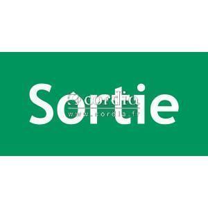 Vinyle sortie - L.200 x H.100 mm - Lot de 10