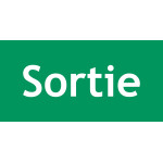 Vinyle sortie - L.200 x H.100 mm - Lot de 10