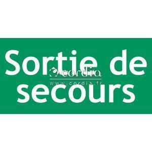 Vinyle sortie de secours - L.200 x H.100 mm - Lot de 10