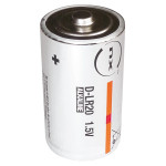 Pile Alcaline D - lot de 10