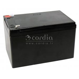 Batterie Pb – 12 V / 12 Ah