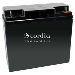 Pile 12V pour générateur de flammes modulaire Cordia